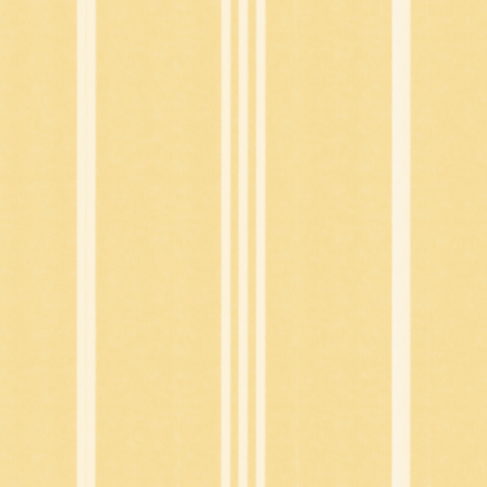 yellow stripe wallpaper RollsRolla